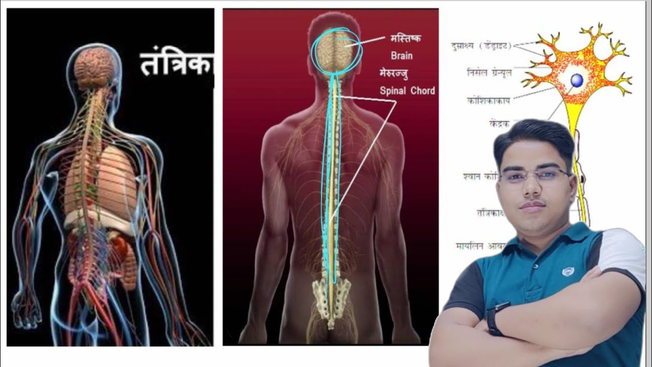 bihar board class 10 crash cours day 12 biology by Prince sir @TARGETBOARD bihar board