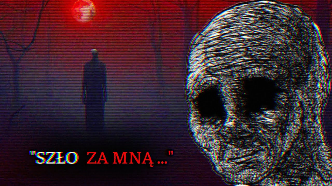 Prawdziwe Straszne Historie o Dziwnych Spotkaniach w Lesie (Podobno)