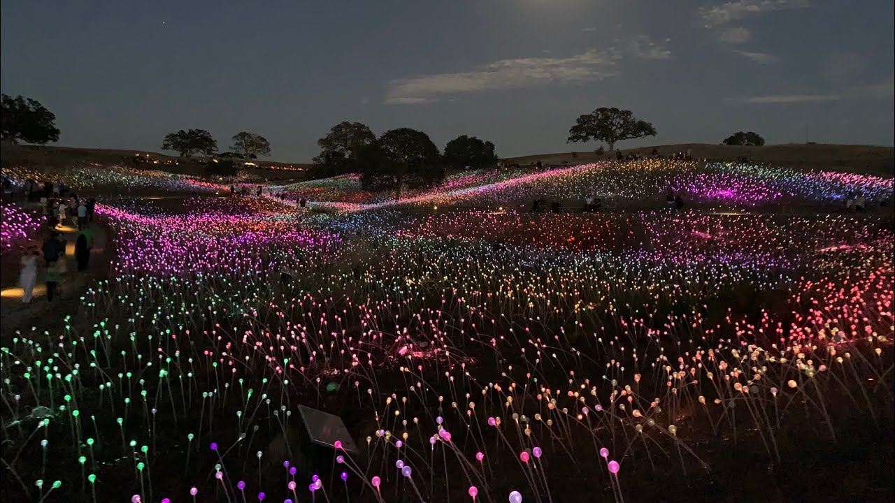 Sensorio Field of Light (Paso Robles, CA) 5/14/2022