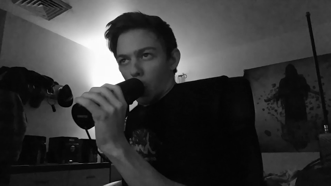 Signs of the Swarm-Final Phase (Dual Vocal Cover Ft. Adam Alexander of Daughters of Nyx)