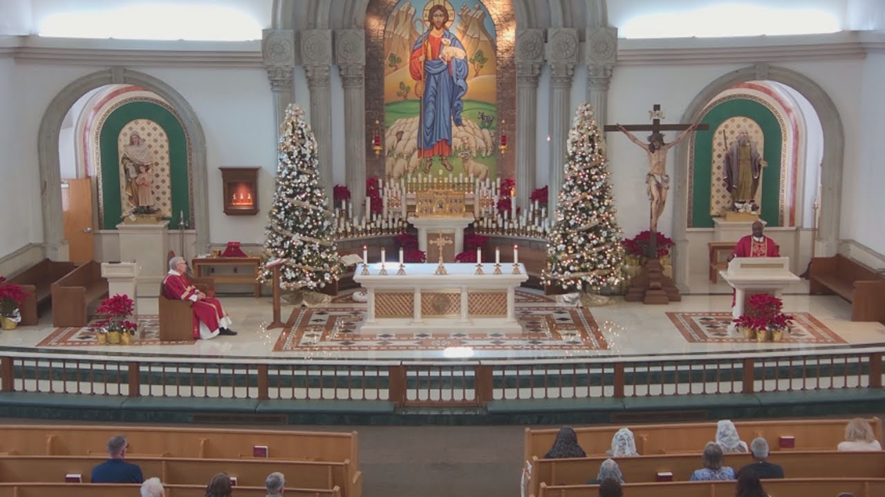 Tuesday 12:00 PM Daily Mass (English)