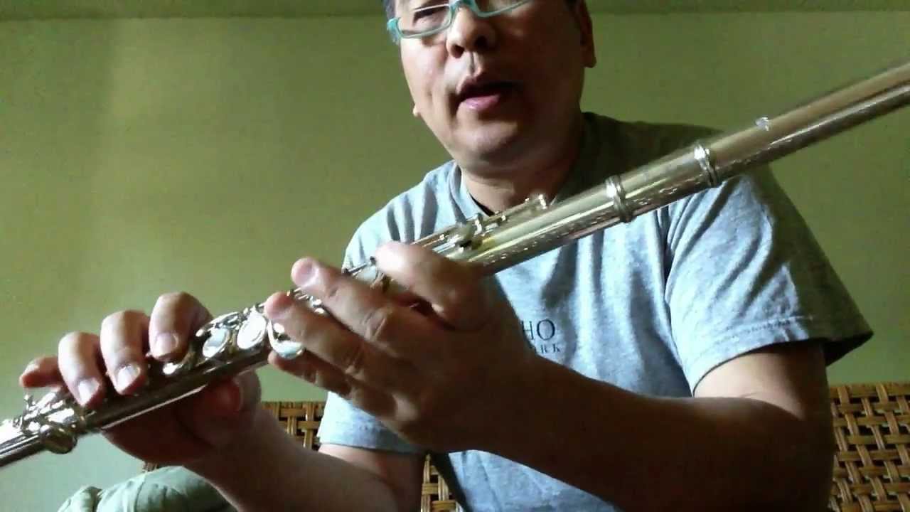 Learning Flute: Holding a Flute, Version A (20130608HoldingA)