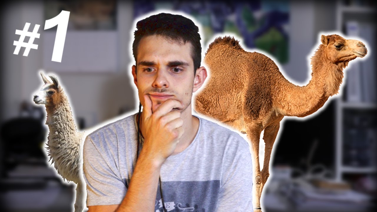 ¿De dónde son los camellos? ǀ Especies invasoras 1 - Beagle’s Diary -