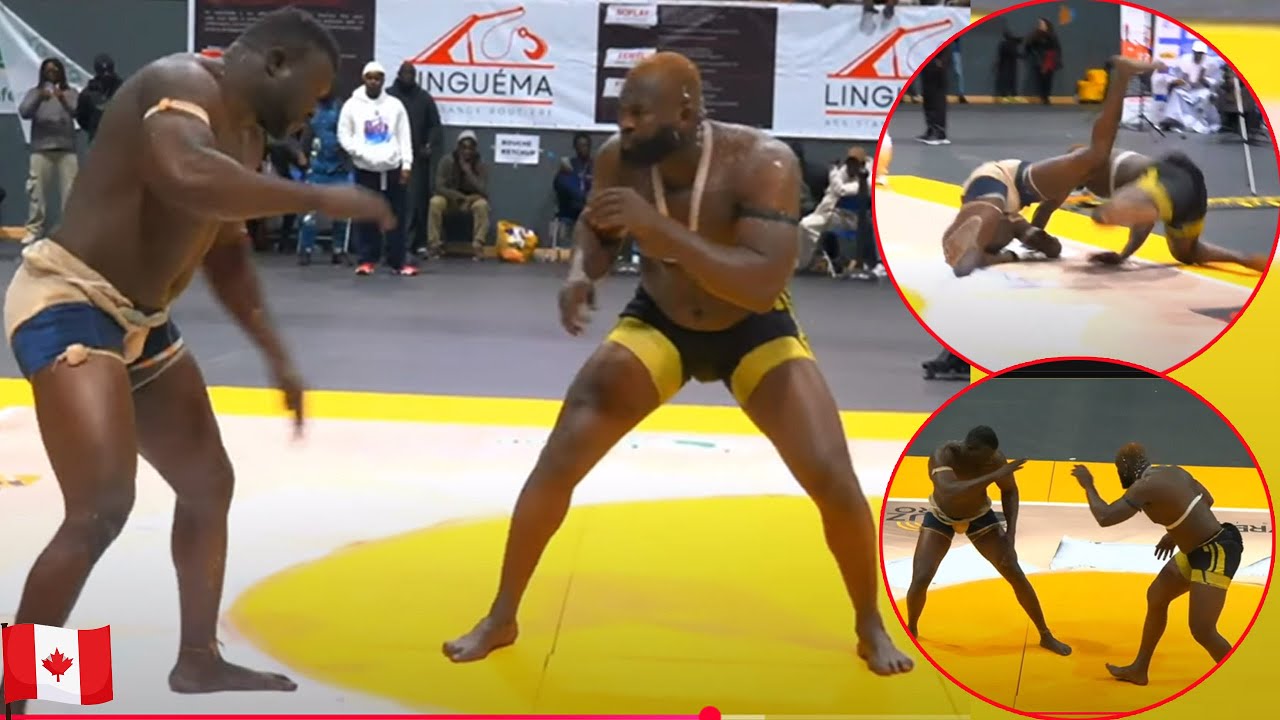 Intégralité combat Bakary Sakho contre Amanekh à Montréal au Canada 🇨🇦
