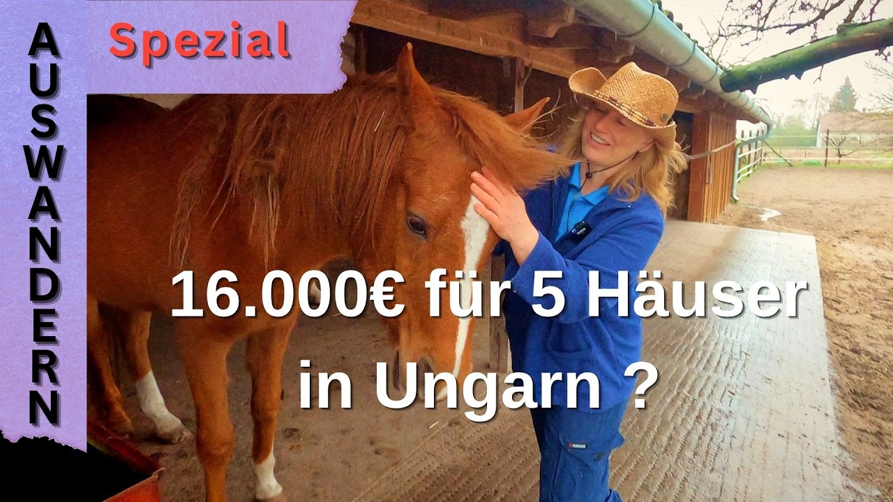 @Zig&uuml;nerli  Eine Schweizerin und ihr Leben in Ungarn. #auswanderer #neueszuhause #freiheit