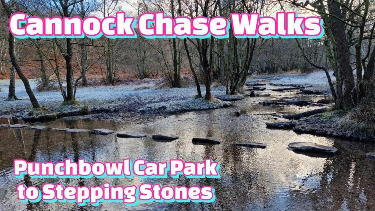 Cannock Chase Winter Walk: Punchbowl Car Park to Stepping Stones