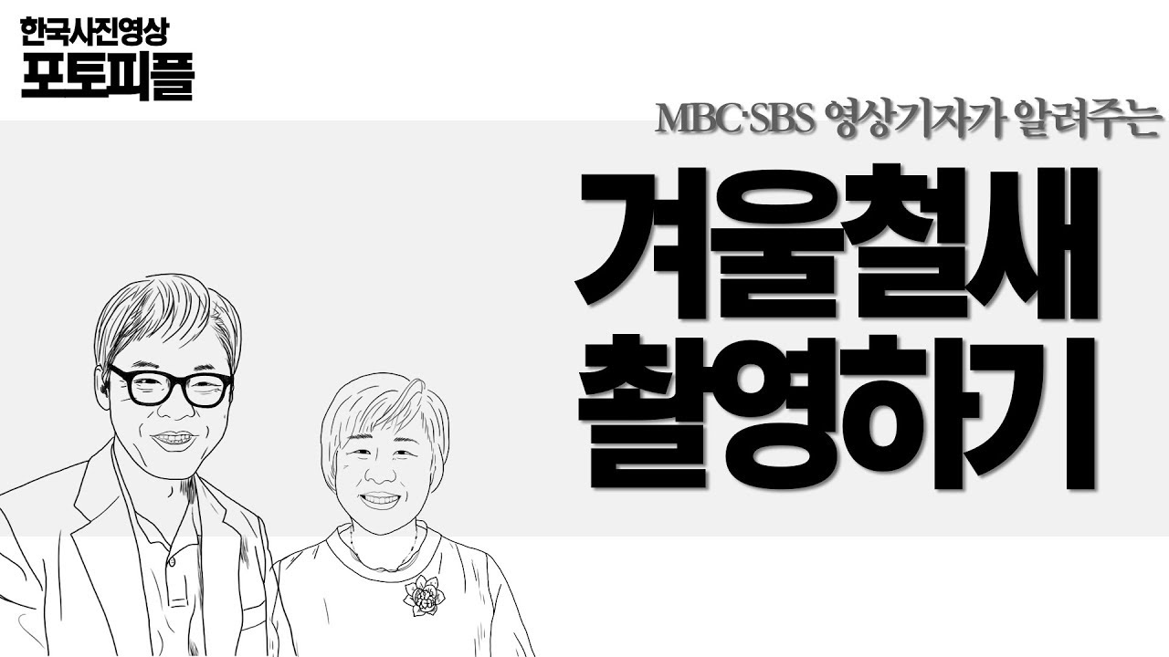 한사영TV_출사후기_철원출사_겨울철새_국내출사