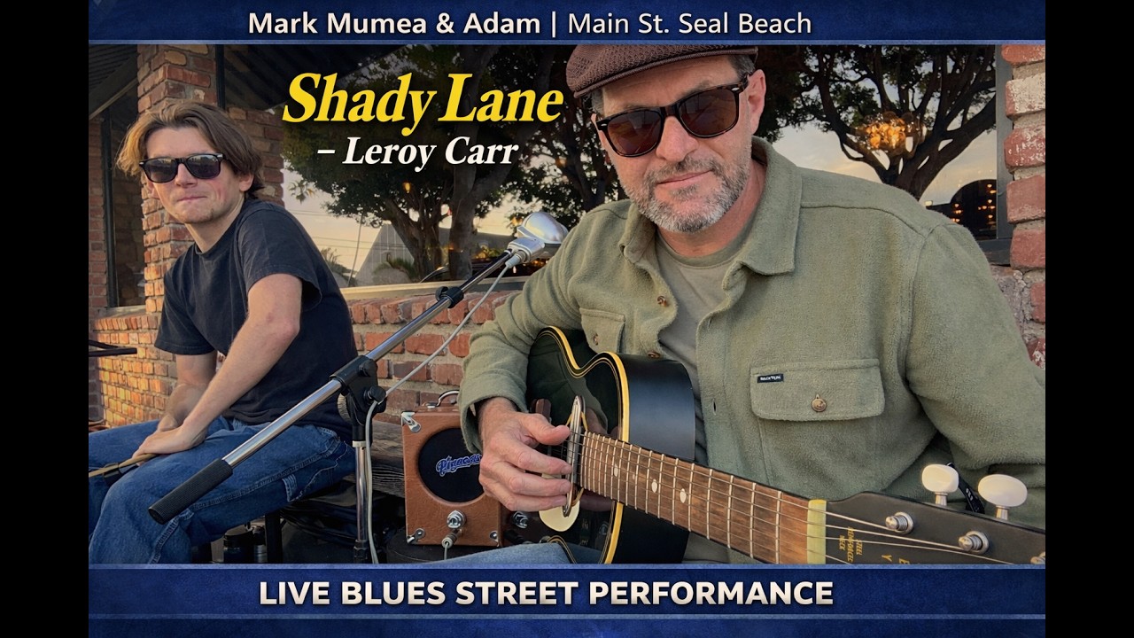 Shady Lane – Лерой Карр | Уличное блюзовое выступление | Сил-Бич, Калифорния