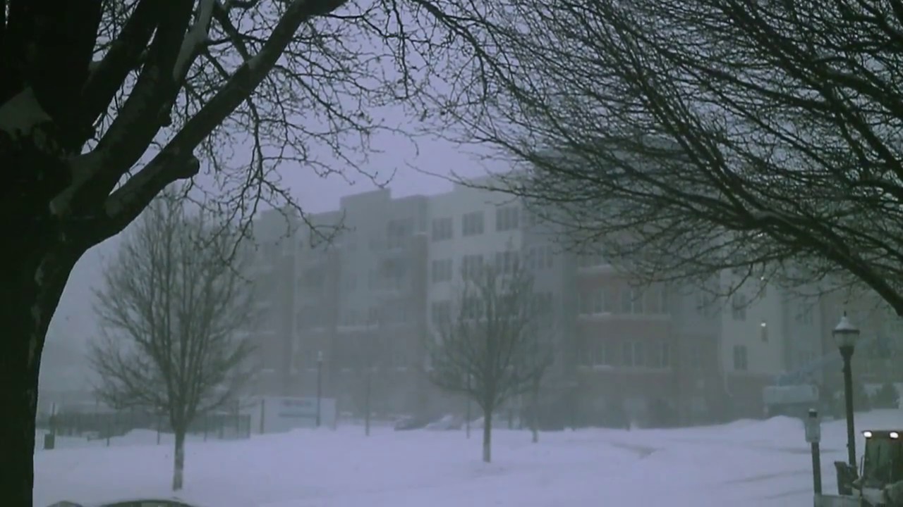 My day with Winter Storm Niko