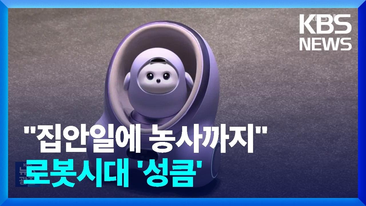 &ldquo;집사가 된 AI 로봇&rdquo;&hellip;반려부터 노동까지, 로봇시대 온다 / KBS  2025.01.10.