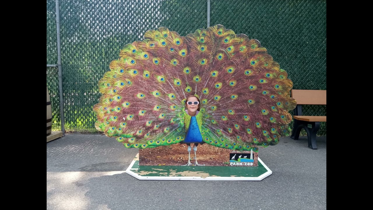 Cape May Zoo and Wildwood - 2025
