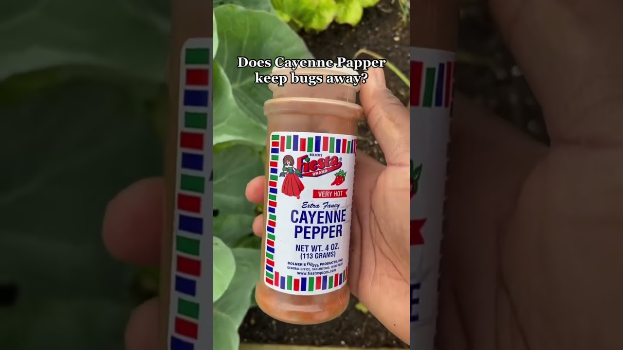 How to keep bugs out the garden #gardening