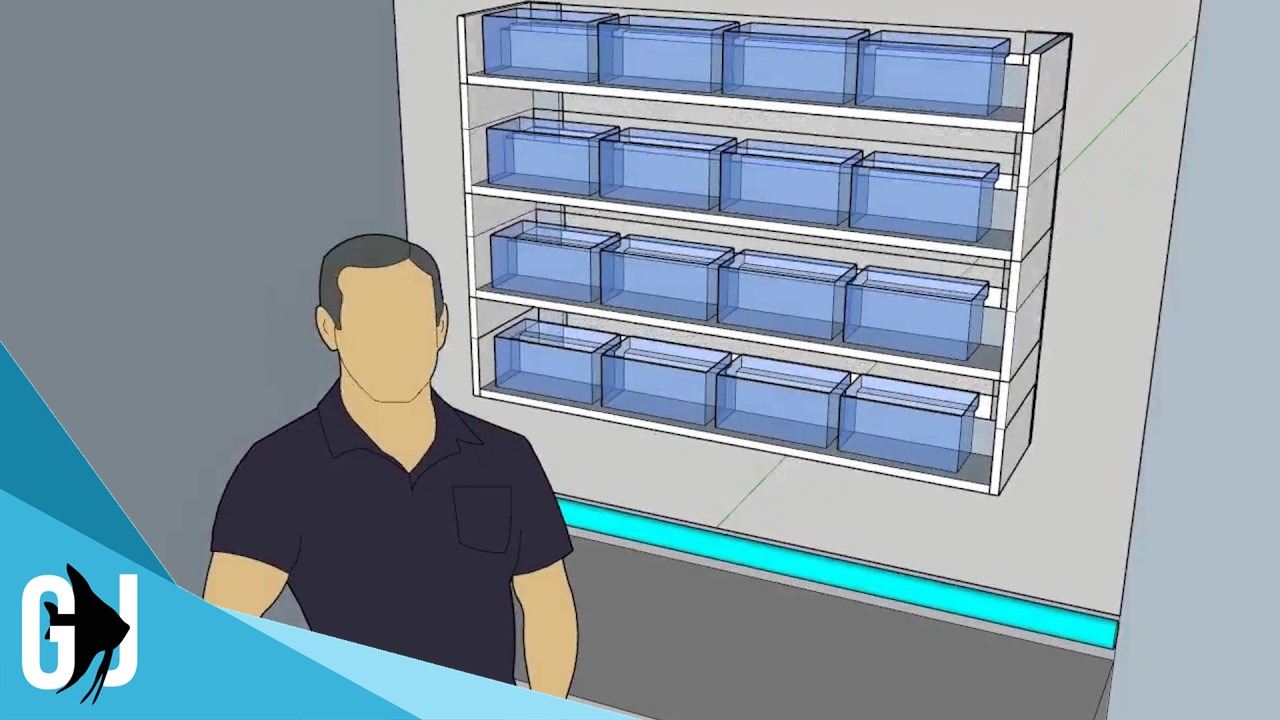 #430: HOW TO: DIY Fry Rack Breeding Rack Part 1 - DIY Wednesday