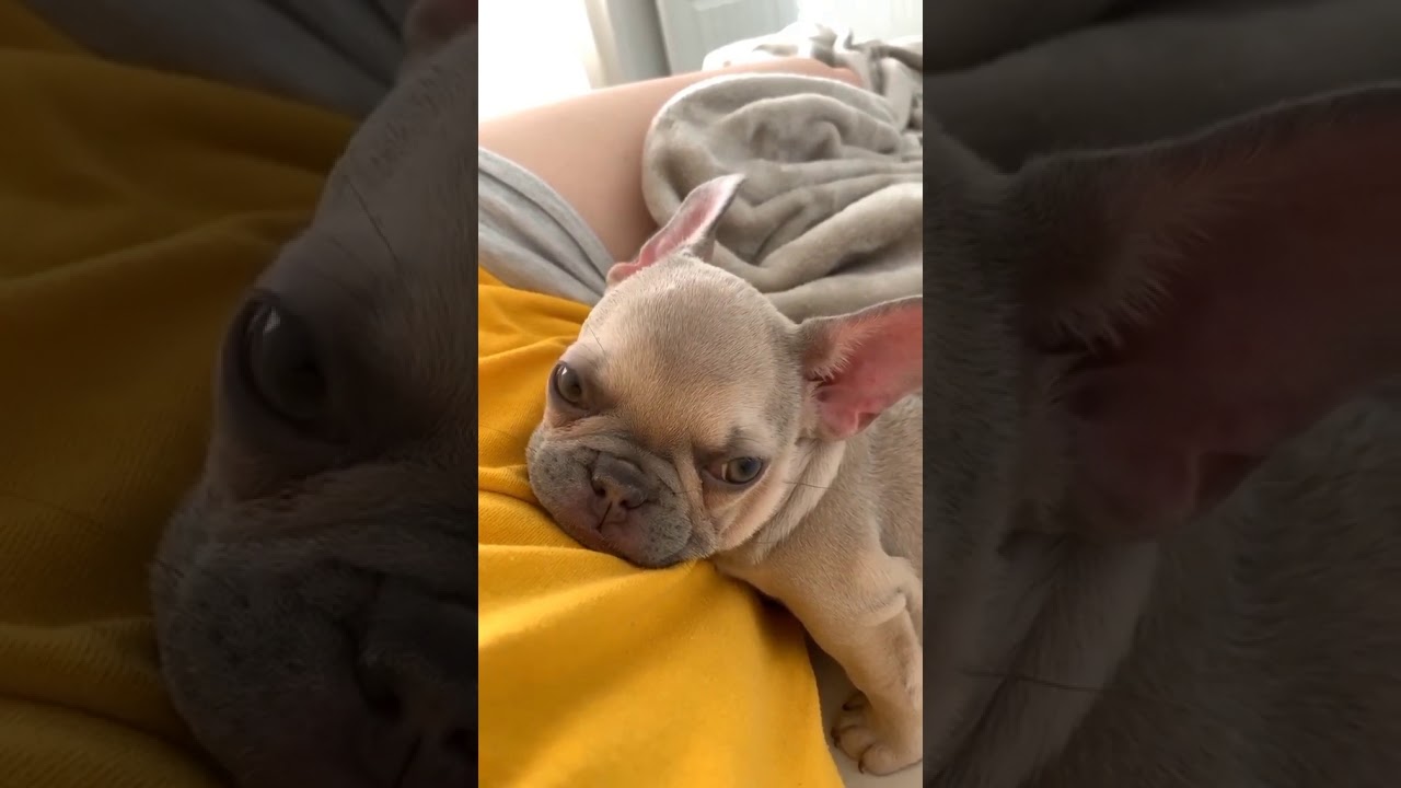Cute little Charlotte with big bro Walter