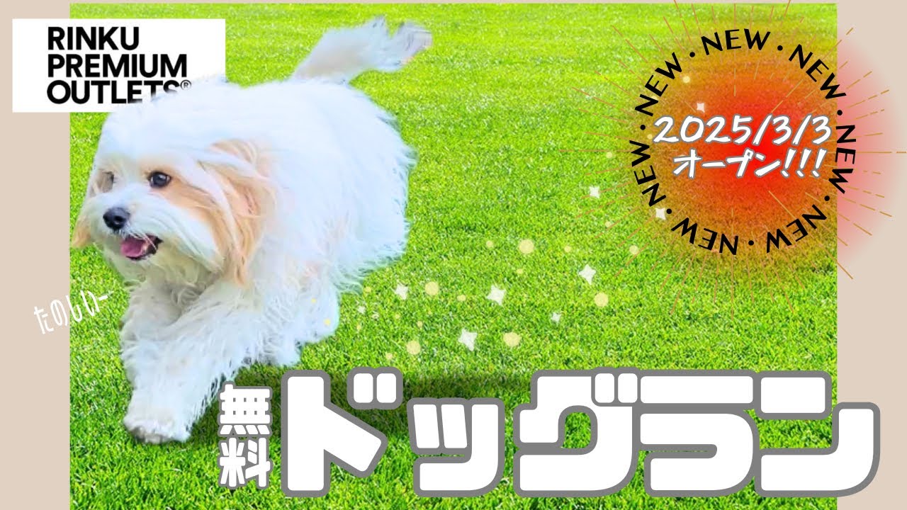 【りんくうプレミアム・アウトレット】新設ドッグラン行ってきました🐶