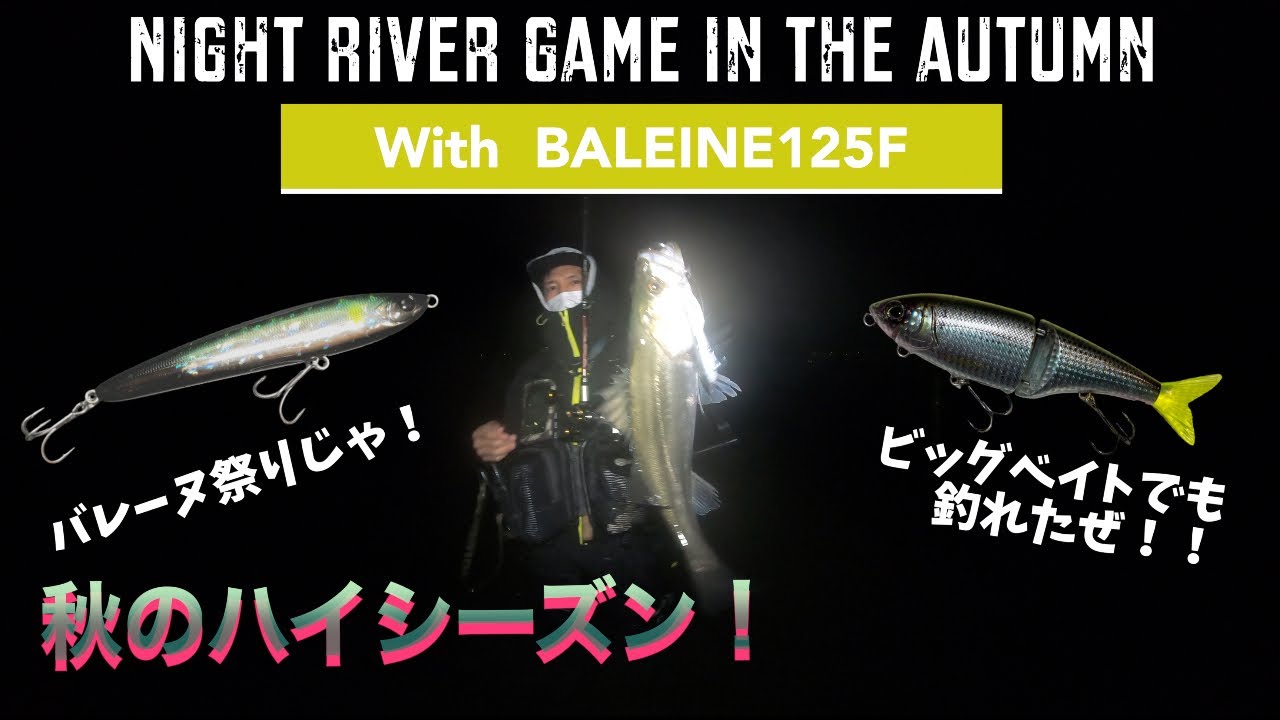 【シーバス釣行】秋爆！バレーヌ125でナイトリバードリフトゲーム！ビッグベイトでコノシロ食い良型もキャッチ！！【ビースト175F】