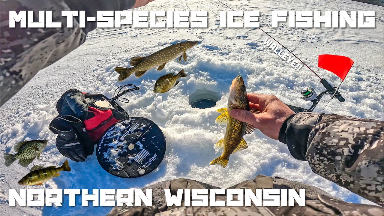 Multi Species Ice Fishing for ANYTHING that BITES in Northern Wisconsin-TOUGH Few Days (2-7-2026)