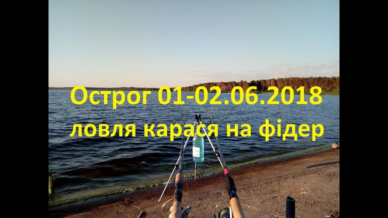 Рибалка на фідер. Нетішинське водосховище. м.Острог 01-02.06.2018