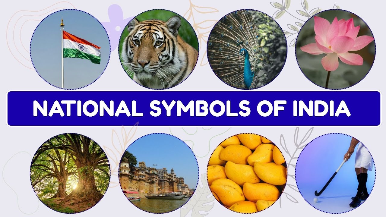 National Symbols Of India | Fun Learning for Kids | Kids Educational Video | Kids Video | India