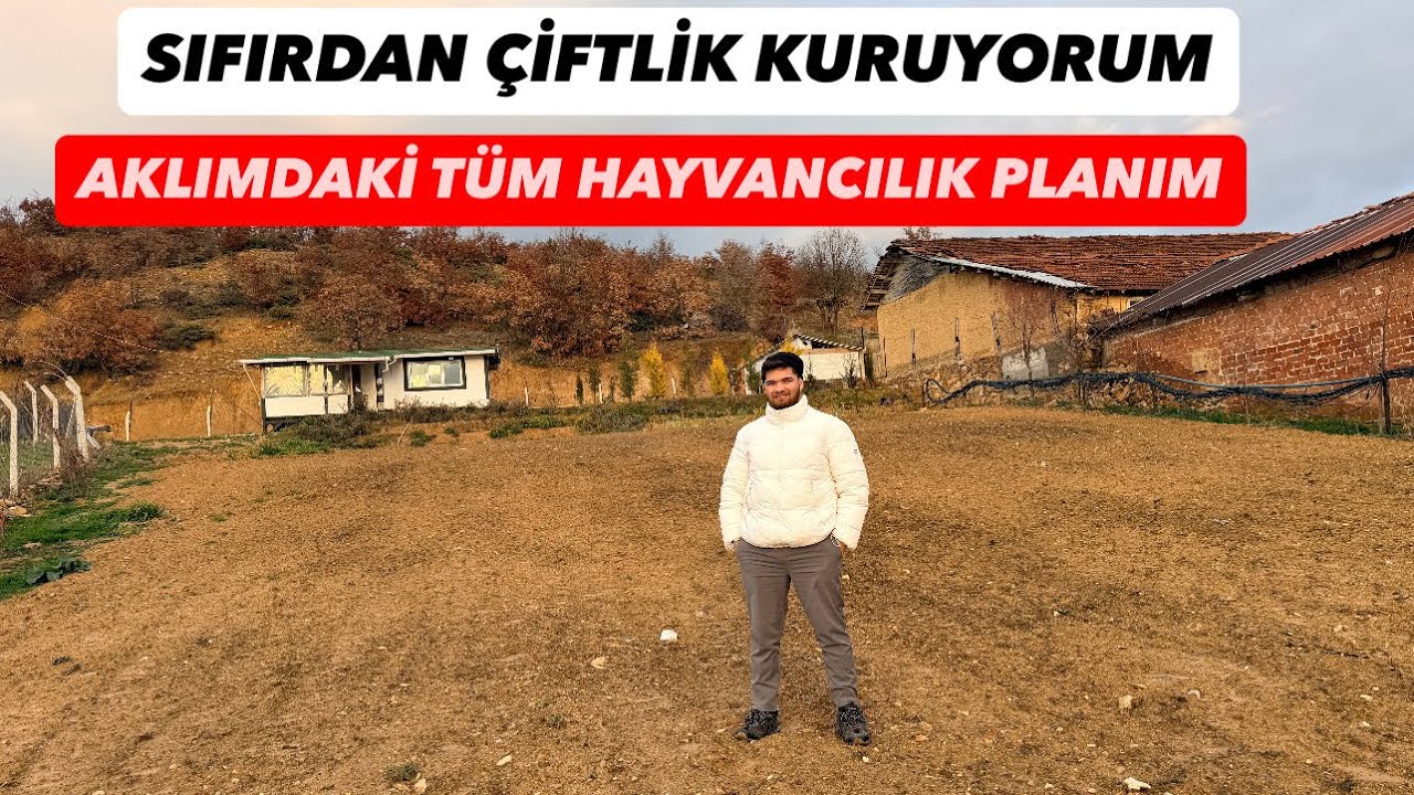 ARSA ALDIM AÇIKBESİ YAPIYORUM 1. BÖLÜM 