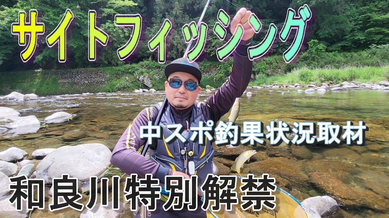 【和良川特別解禁】サイトで狙うよ～　中スポ釣果状況取材　鮎釣り　解禁