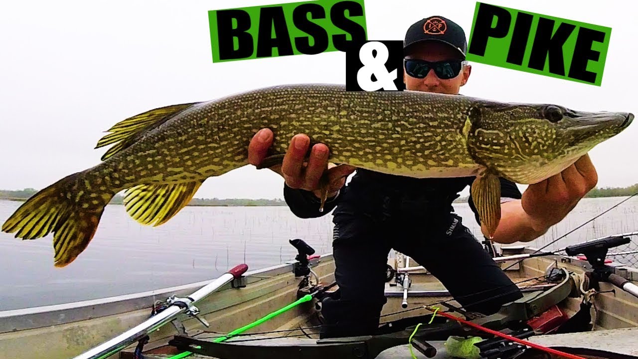 Largemouth Bass & Pike Fishing [Big Muskego Lake]