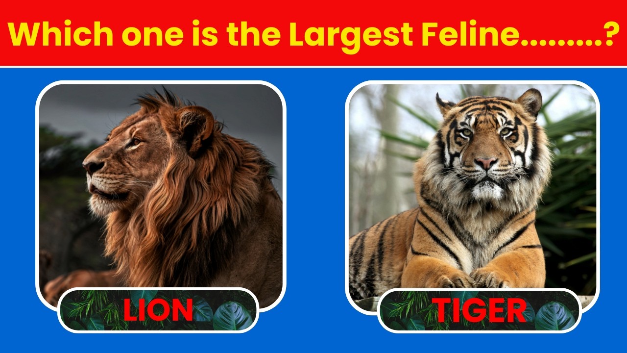How Good Is Your Knowledge of Animal? 50 Animals Knowledge Trivia Quiz