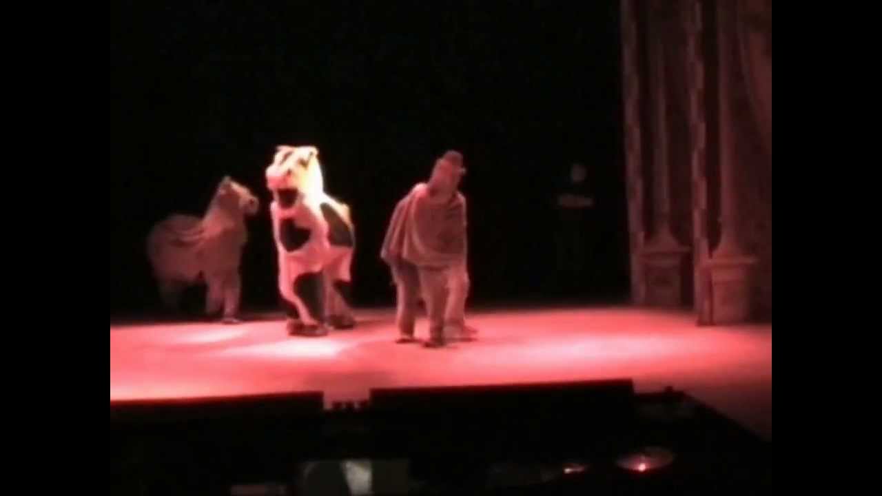 Kays Panto Dances 2013