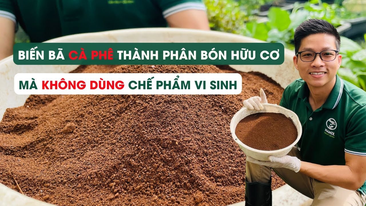 Tập 81 -  Cách ủ bã cà phê thành phân bón giàu dinh dưỡng mà không dùng chế phẩm vi sinh
