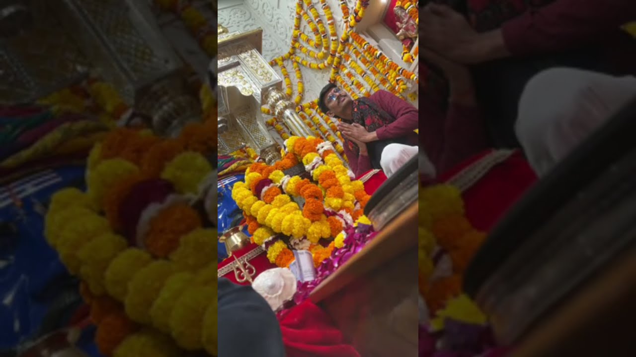 Apana Super Fast Rajasthaan is live नागौर जोधपुर रोड़ गोसाला #subscribe #nagaur #vairal #vlogs 
