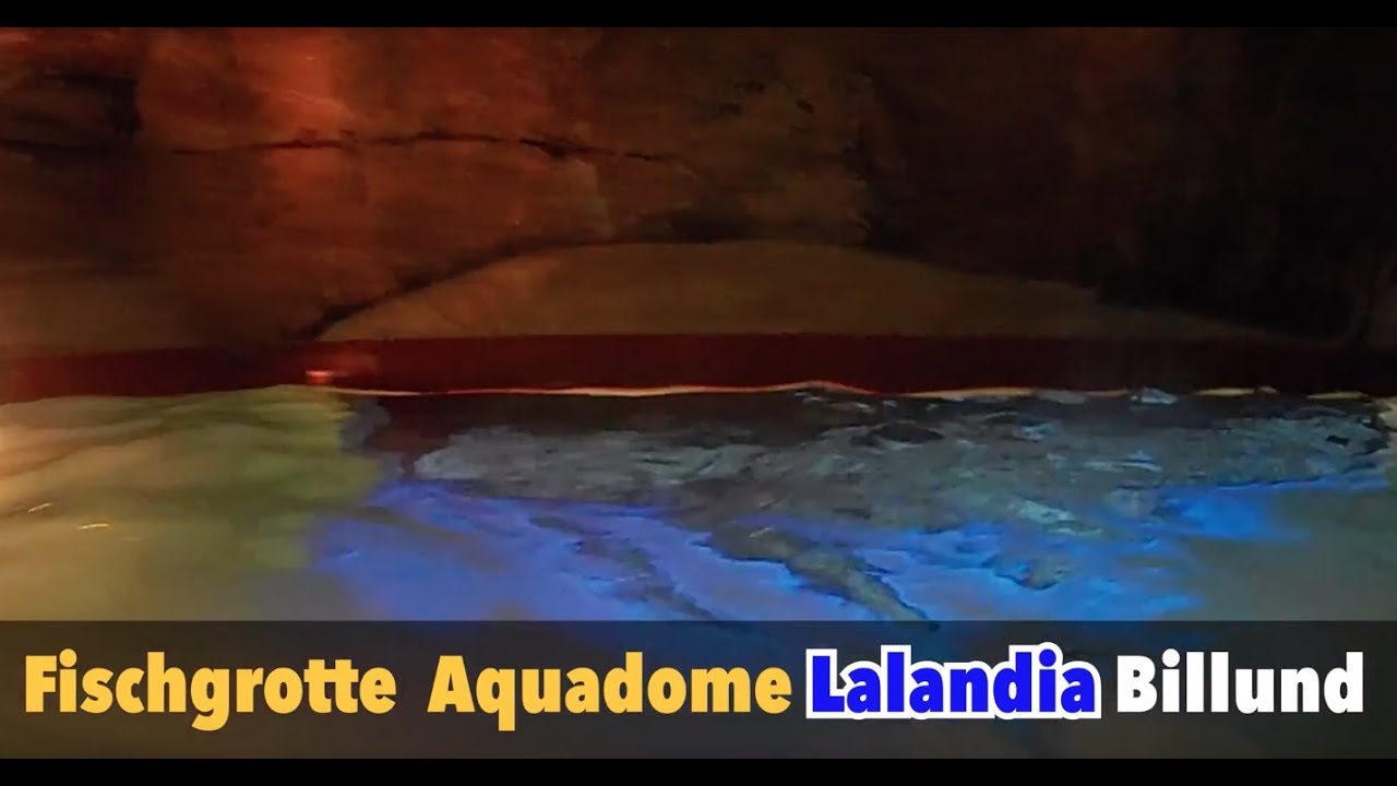 Die Fischgrotte im Aquadome des Lalandia in Billund
