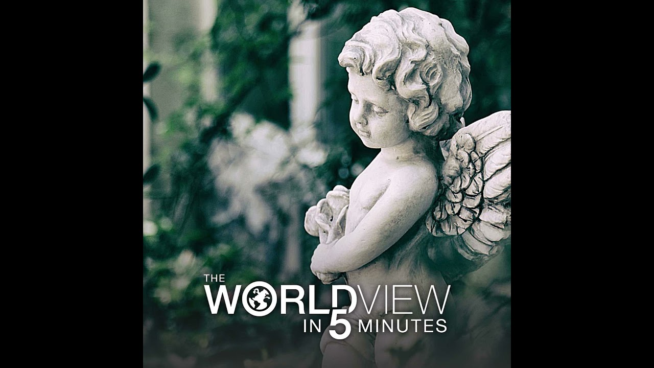 The World View in 5 Minutes - 2/13/26