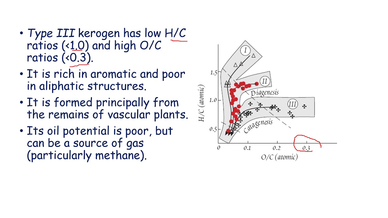 ORGANIC GEOCHEMISTRY KEROGEN