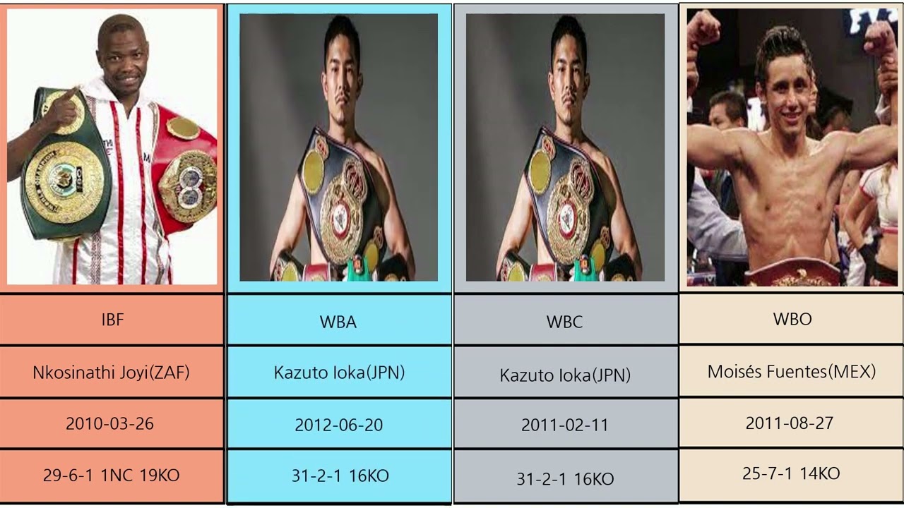 every world mini-flyweight boxing champions