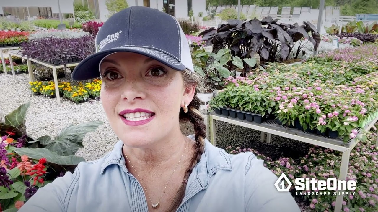 SiteOne Field Guide: Maximizing Outdoor Living Space
