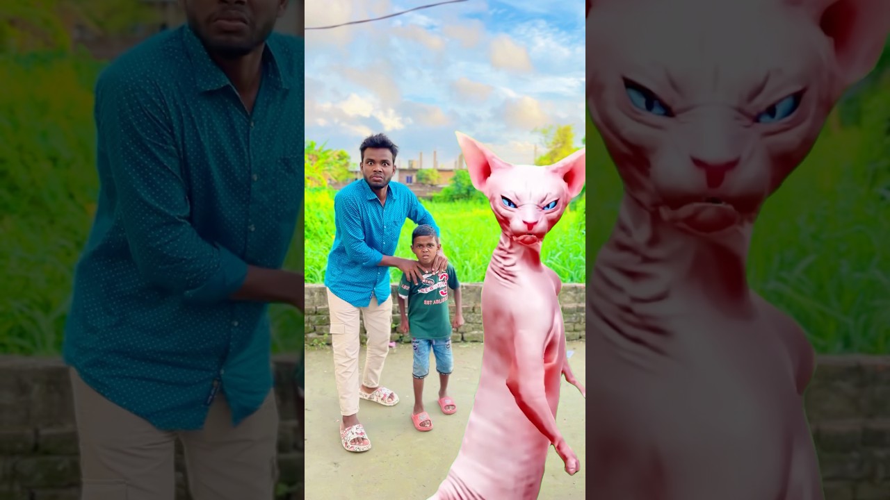 Raju and his brother are dancing with a cat 🐈😁 #shorts #funny #comedy #trendingshorts