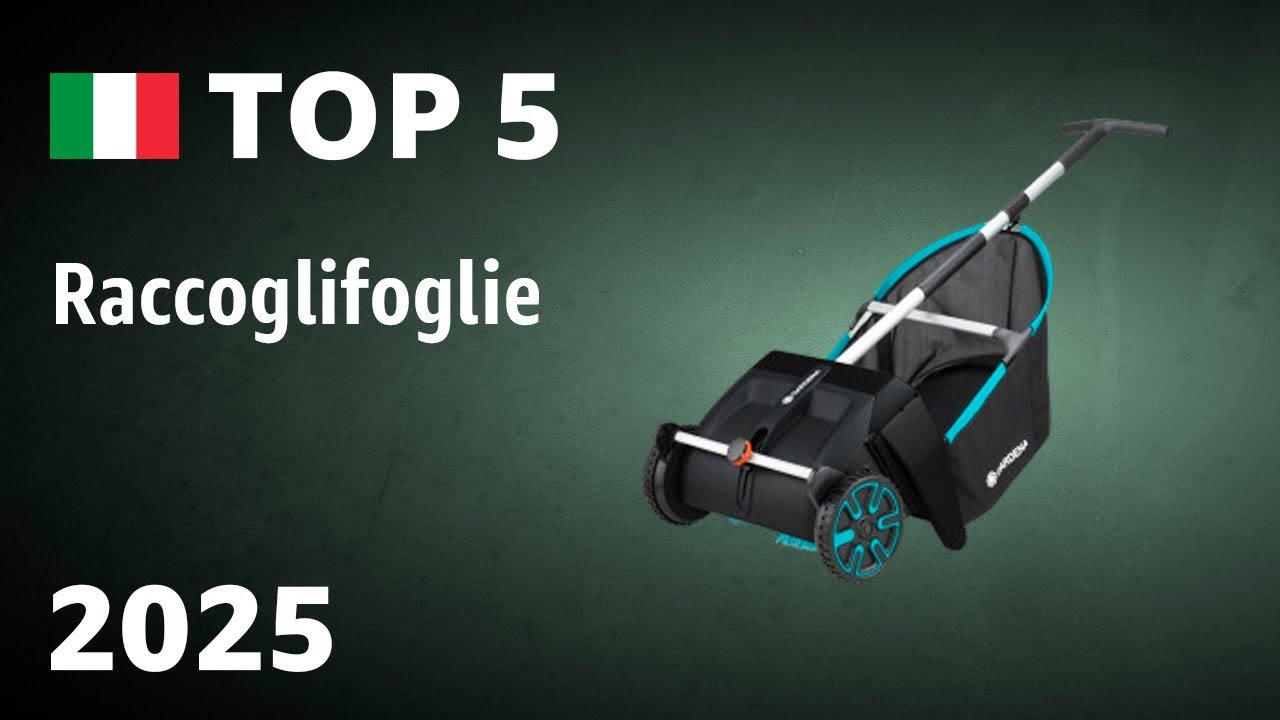 TOP&mdash;5. Migliori raccoglifoglie 2025