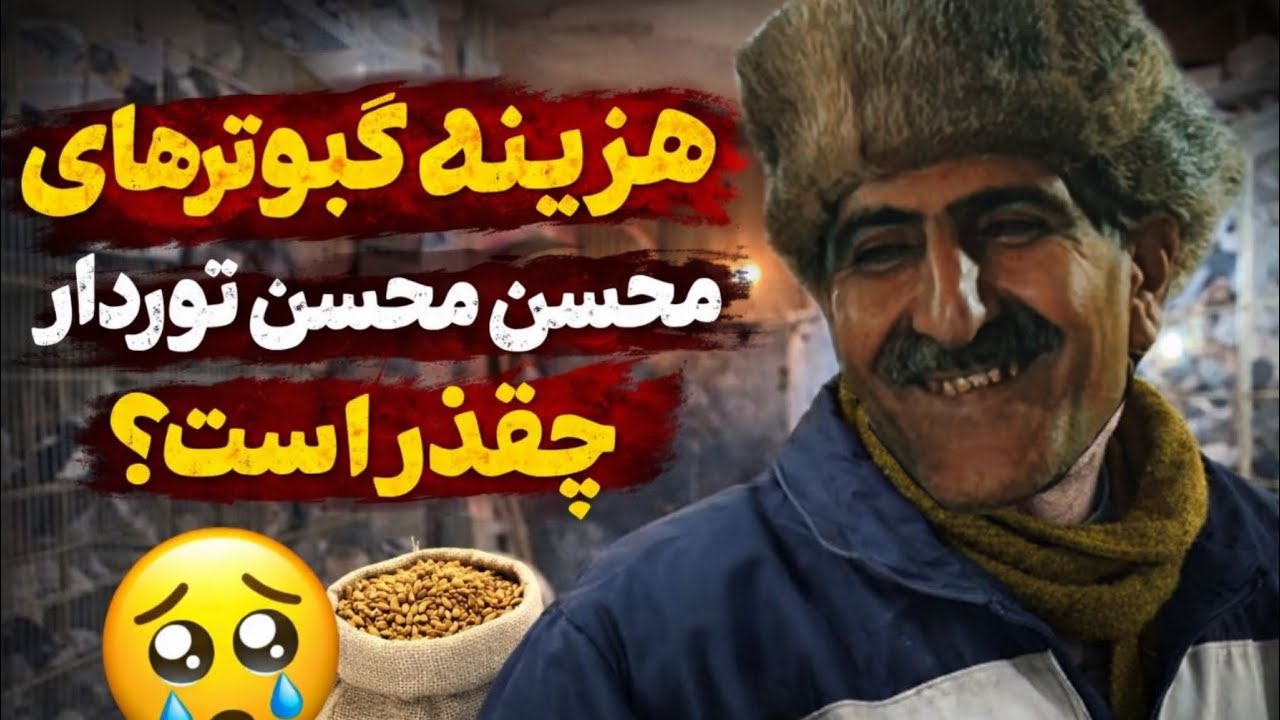 Часть 3: Покупка простого афшунского голубя у Мохсена Тордара! Какова ежедневная стоимость продаж...