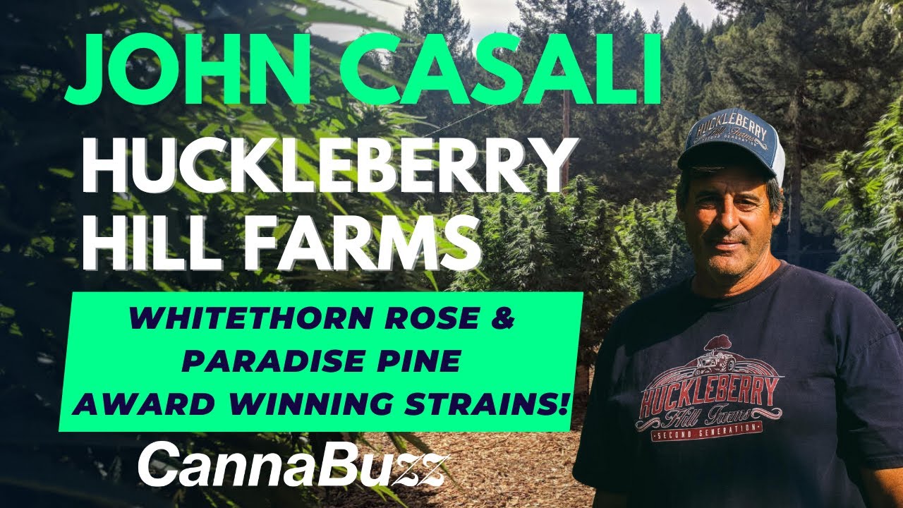 Whitethorn Rose grower Huckleberry Hill Farms creates new strain Paradise Pine