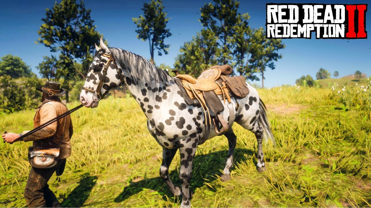 BUYING FASTEST HORSE IN RDR 2