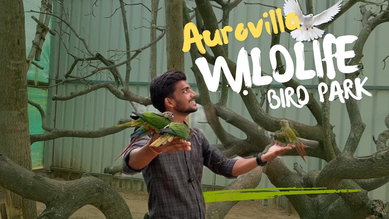 Auroville Bird Park - L'e Paradise D'Auro||Pondicherry #pondicherry #auroville 