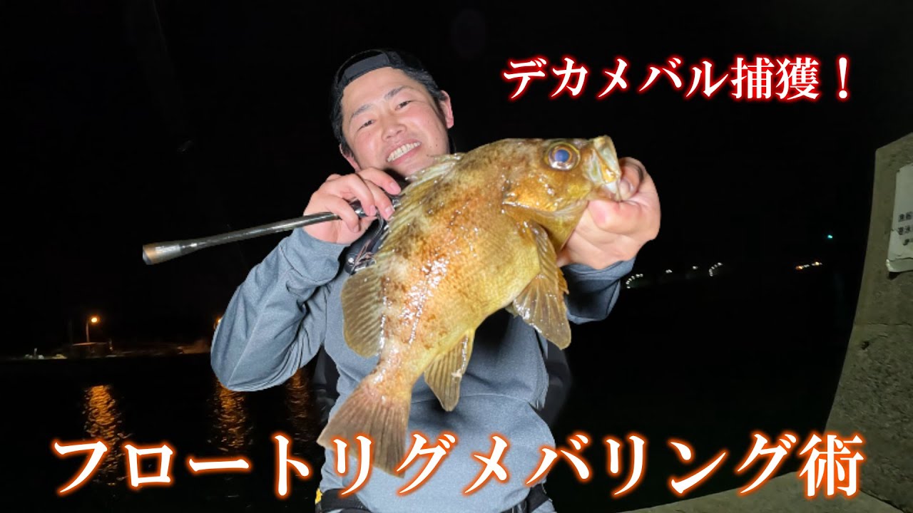 尺メバルハンター直伝！フロートでデカメバルを釣る方法!