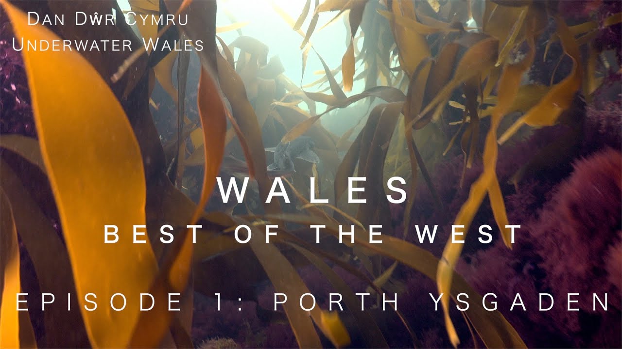 Wales Best of the West - Episode 1: Porth Ysgaden