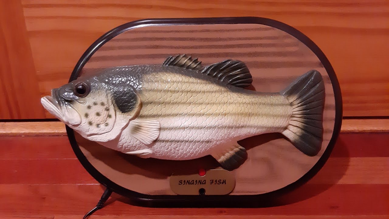 Wonder Singing and Dancing Rainbow Fish (Boogie Bass Variant)