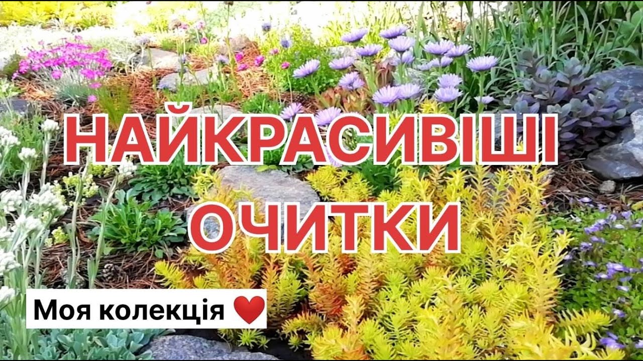 ТОП 10 Найкрасивіші очитки моєї колекції