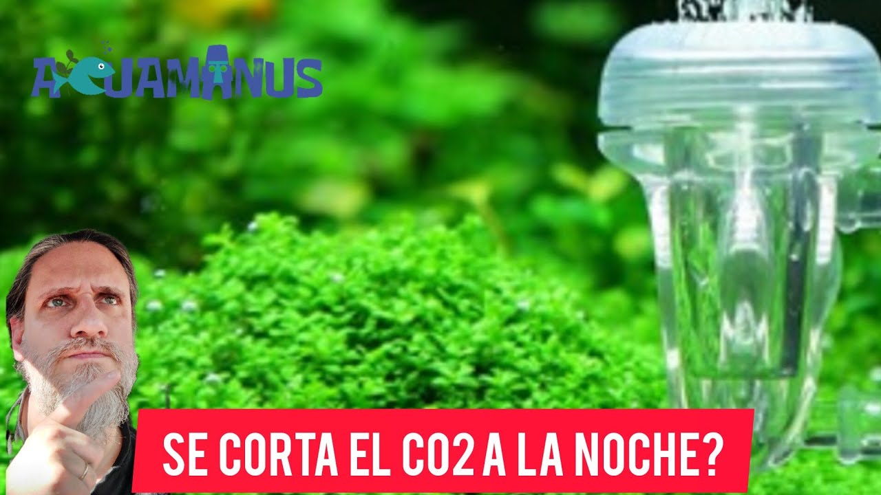 Se corta el CO2 (dióxido de carbono) por la noche??