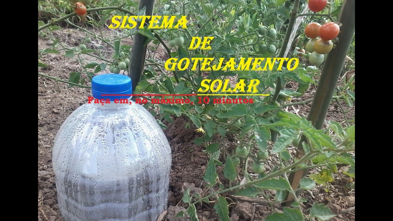 Gotejamento Solar. Abasteça uma vez por mês e pronto.
