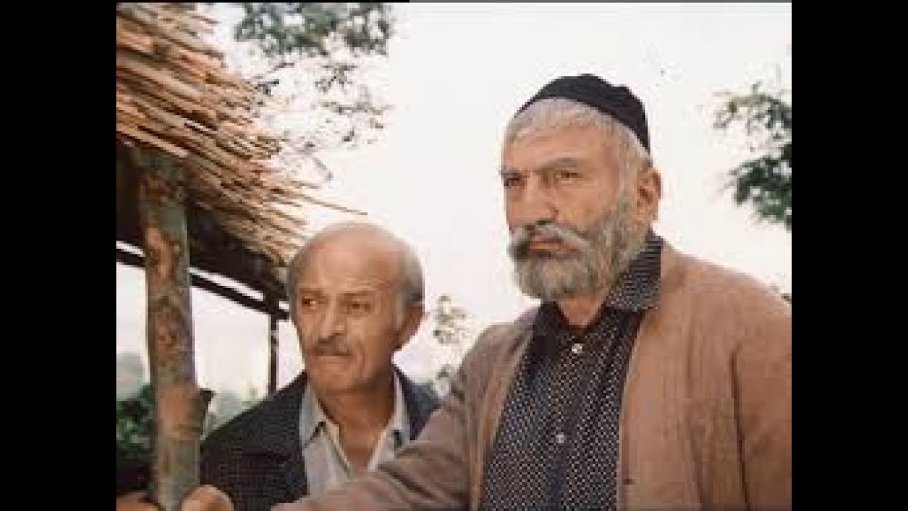 ახალი არკადია | კომედია | ქართული ფილმი 1986წ