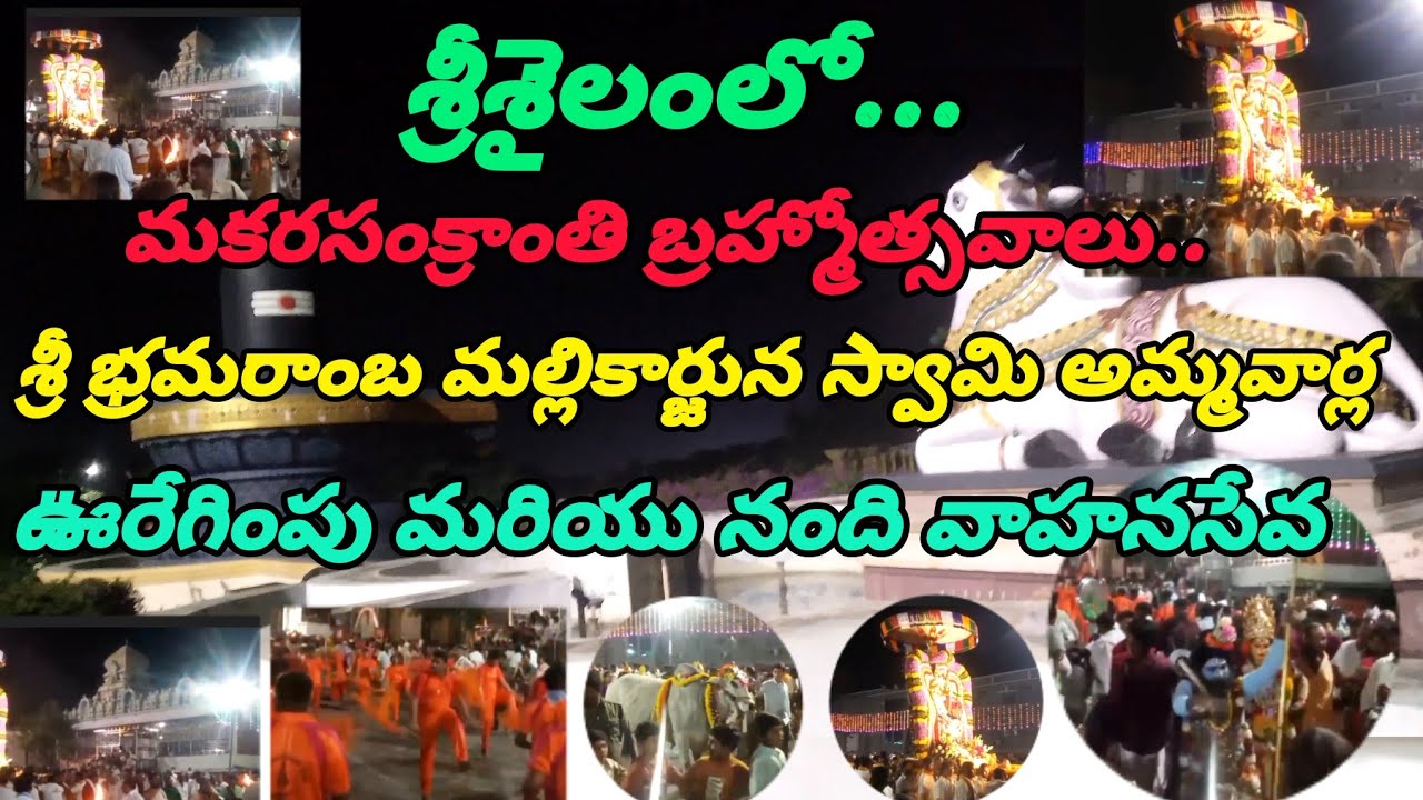 శ్రీశైలంలో మకరసంక్రాంతి బ్రహ్మోత్సవాలు #lordshiva #srisailam #temple #bramhotsavalu #viral #video 