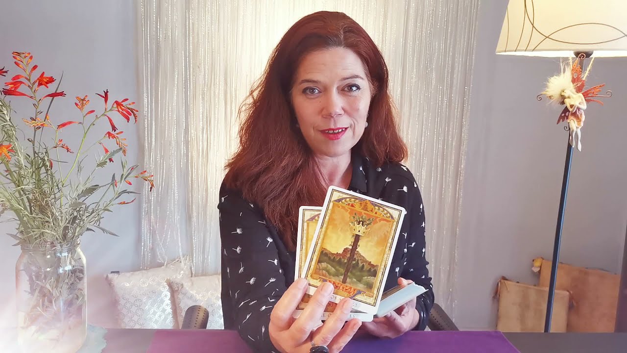 UMA CONEXÃO FORTE E INESPERADA TOURO! ❤️ LEITURA AMOR